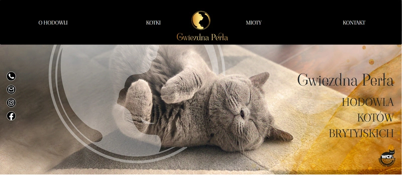Strona hodowli kotów Gwiezdna Perła